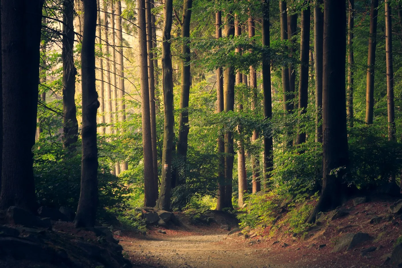 A quiet moment in nature