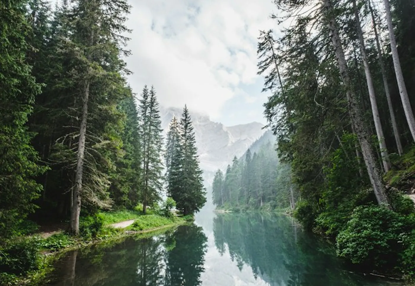 A quiet moment in nature